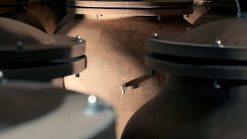 Amphoras from Château Dufort-Vivens